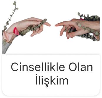 Cinsellikle Olan İlişkim